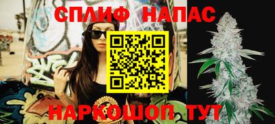 тгк Партизанск
