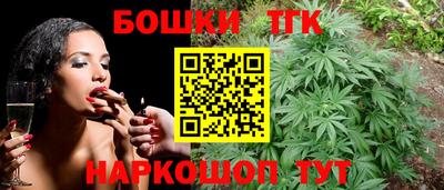 тгк Партизанск