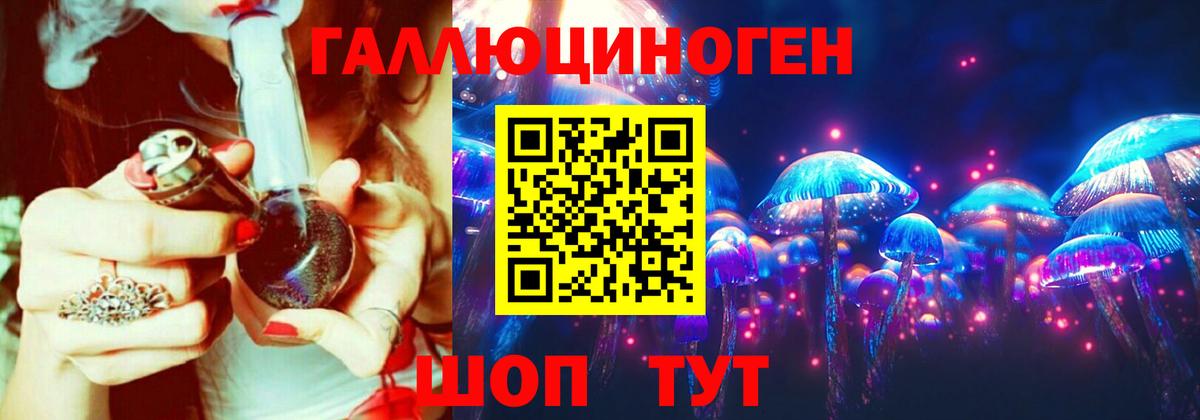 Галлюциногенные грибы Psilocybe  купить наркоту  Среднеуральск  Вход с VPN 